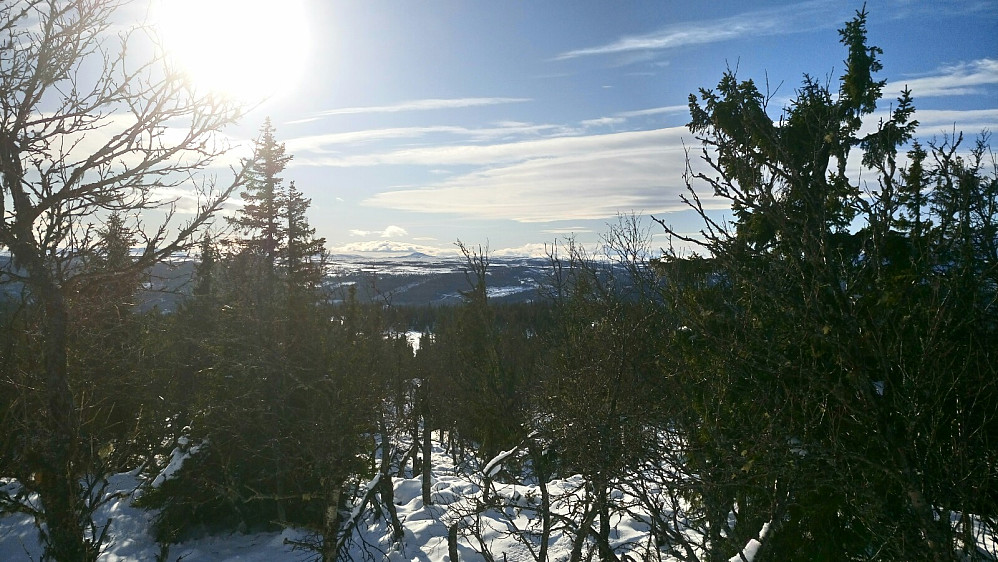 Fra toppen