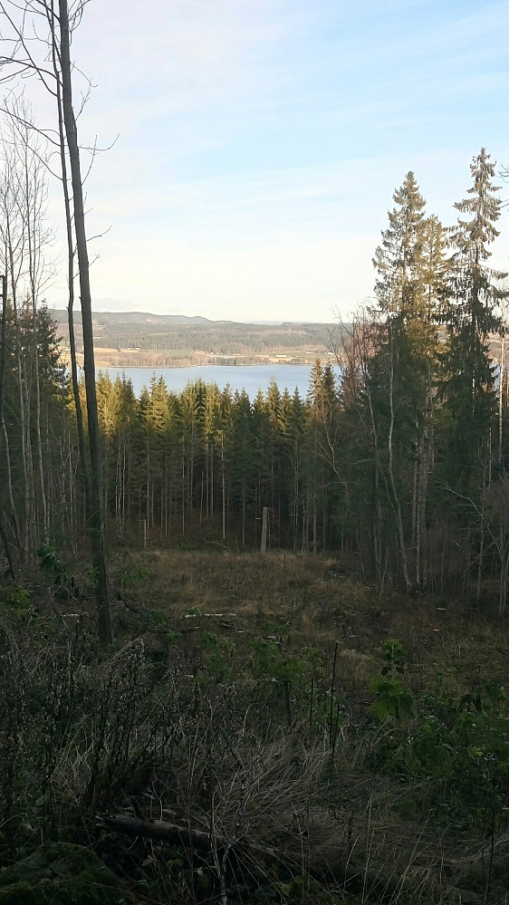 Mjøsa