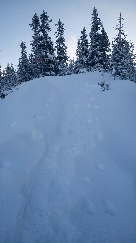 På tur opp et av de bratteste partiene