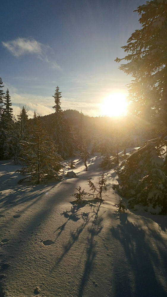 Sola viser vei tilbake mot Tjuvåsen