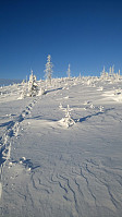 gitteval_20180106_5a50ee98d6f88.jpg