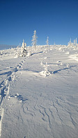 gitteval_20180106_5a50ee9965178.jpg