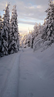 gitteval_20180106_5a50ee99e9305.jpg