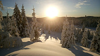 gitteval_20180106_5a50ee9a79d1f.jpg