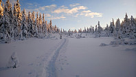 gitteval_20180106_5a50ee9af3747.jpg