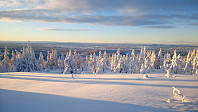 gitteval_20180106_5a50ee9b74759.jpg