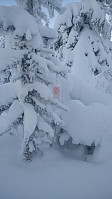 gitteval_20180121_5a64c30e56e15.jpg