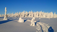 gitteval_20180121_5a64c311788ac.jpg