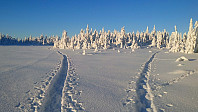 gitteval_20180121_5a64c312295b1.jpg