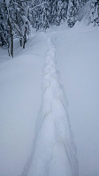 gitteval_20180121_5a64c314e2186.jpg