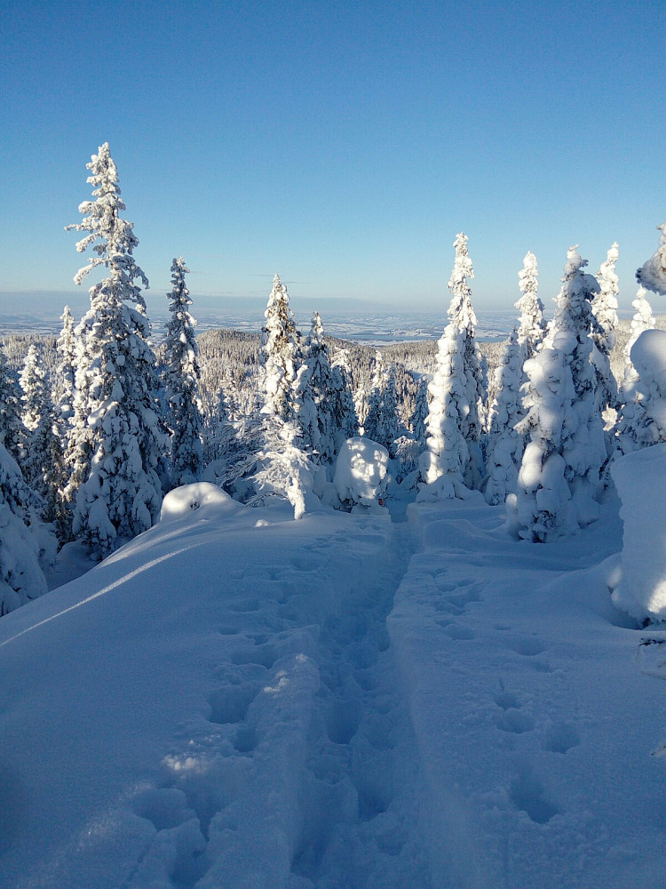 Nordover mot Mjøsa
