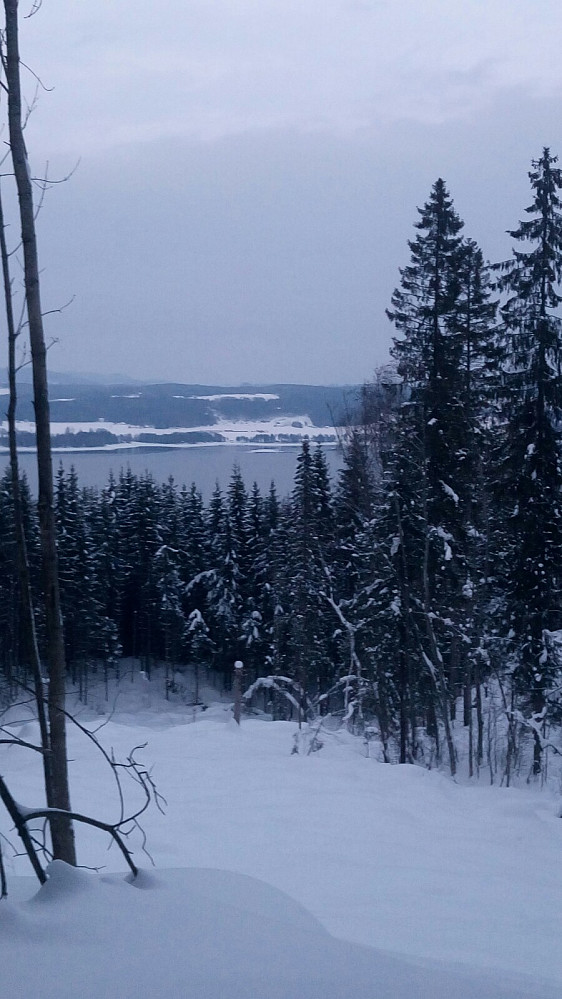 Kongsrudskjærene ved Nes er synlige