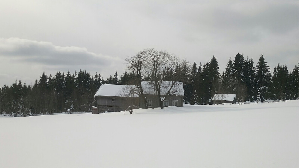 Bjørlien