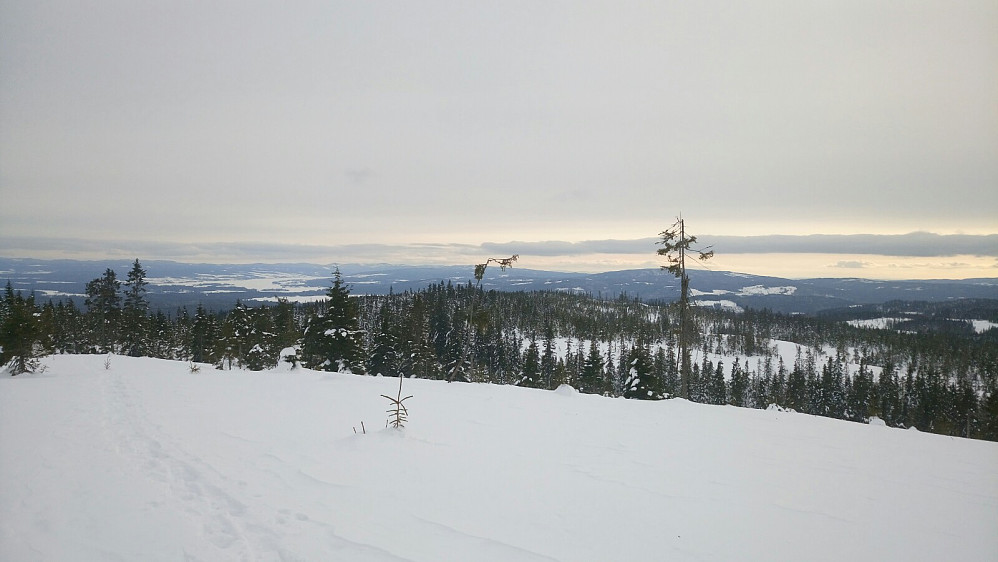 Sørover, Skjelbreia og Einavatnet