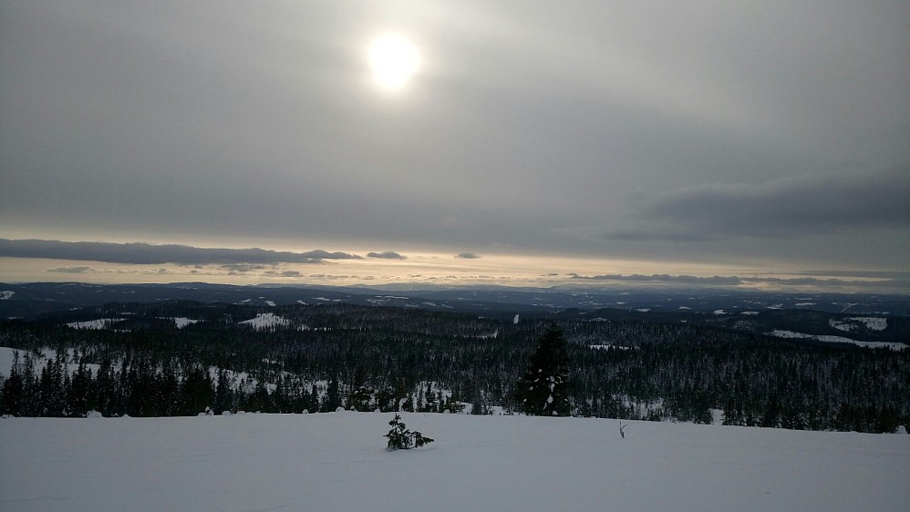 Sørvestover