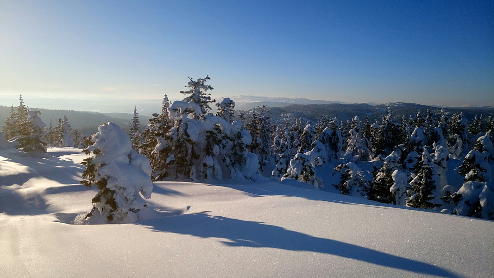 Synnfjellet