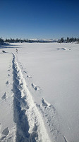 gitteval_20180310_5aa41e78ee182.jpg