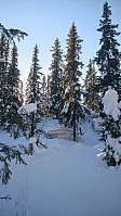 gitteval_20180310_5aa41e79af6cc.jpg
