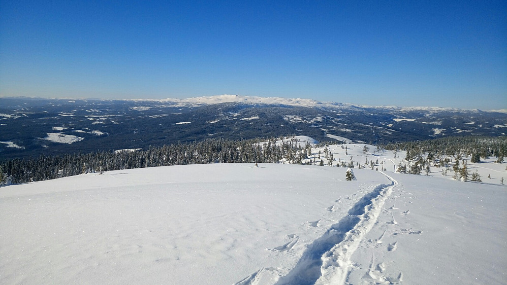 Mot Synnfjellet