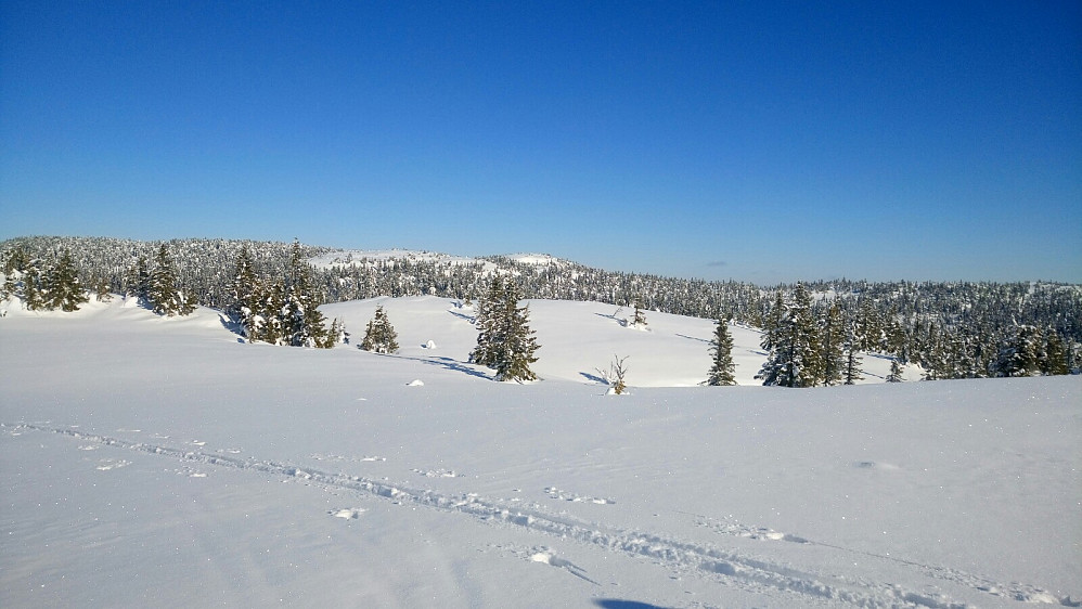 Krokvassfjellet, og Mittfjell til venstre