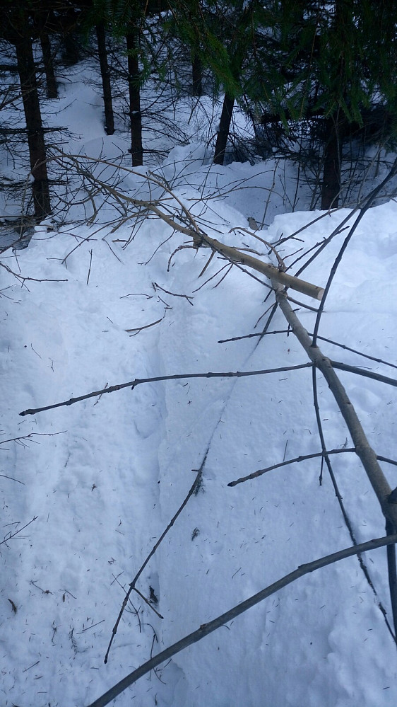 Mat til Bambi