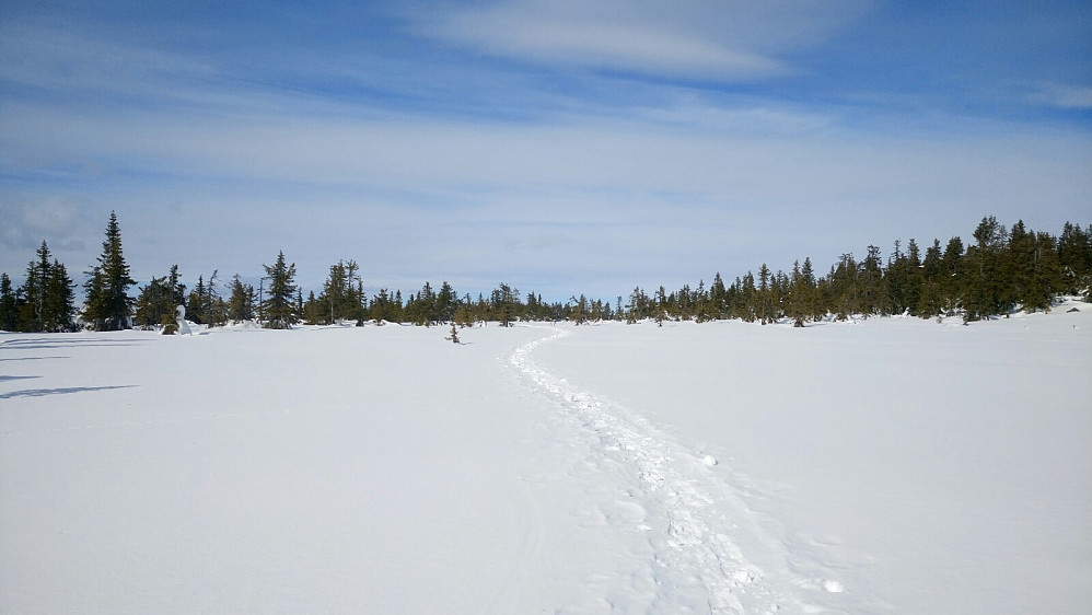 På tur mot Torsæterkampen