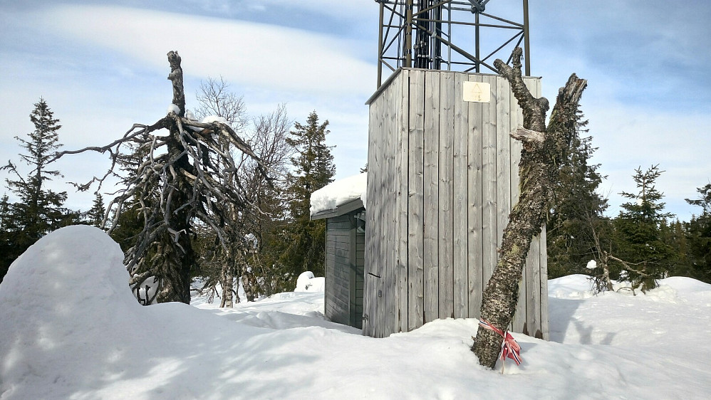 Torsæterkampen
