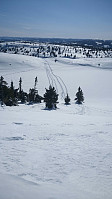gitteval_20180407_5ac8e17331919.jpg