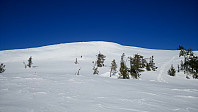 gitteval_20180407_5ac8e173cca2d.jpg