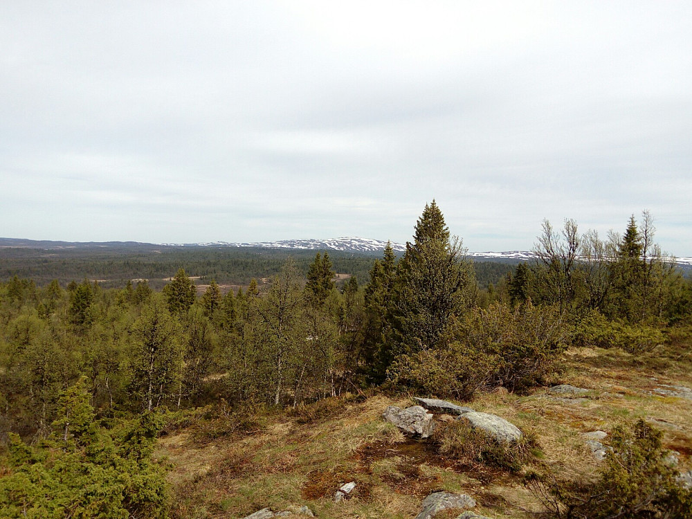 Spåtind i det fjerne