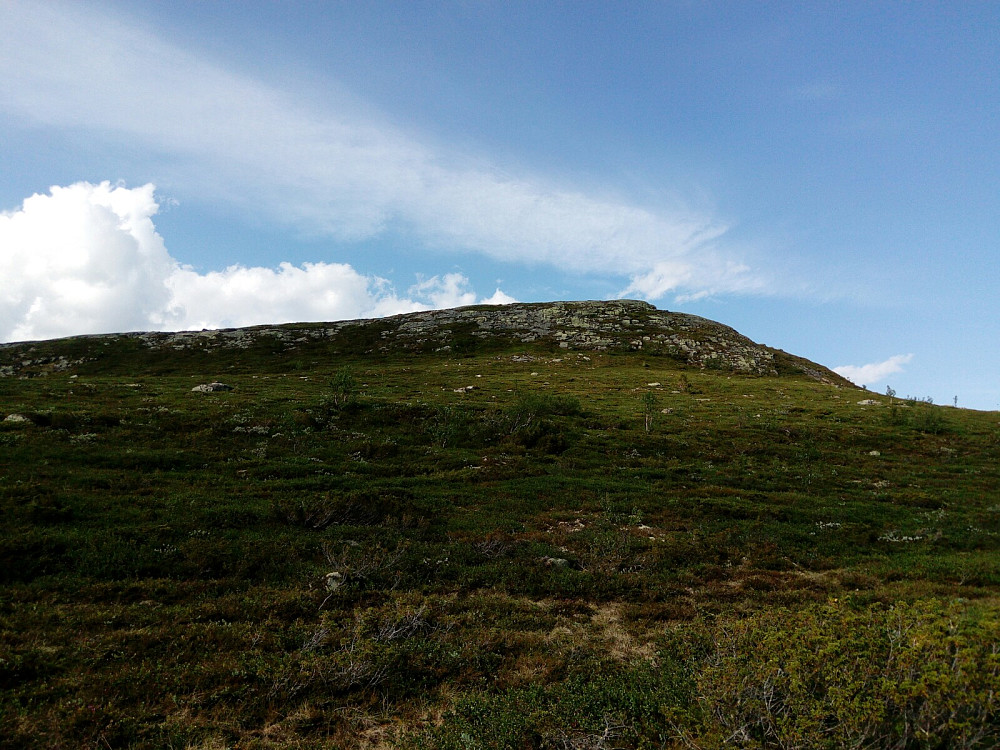Søndre Suluhø