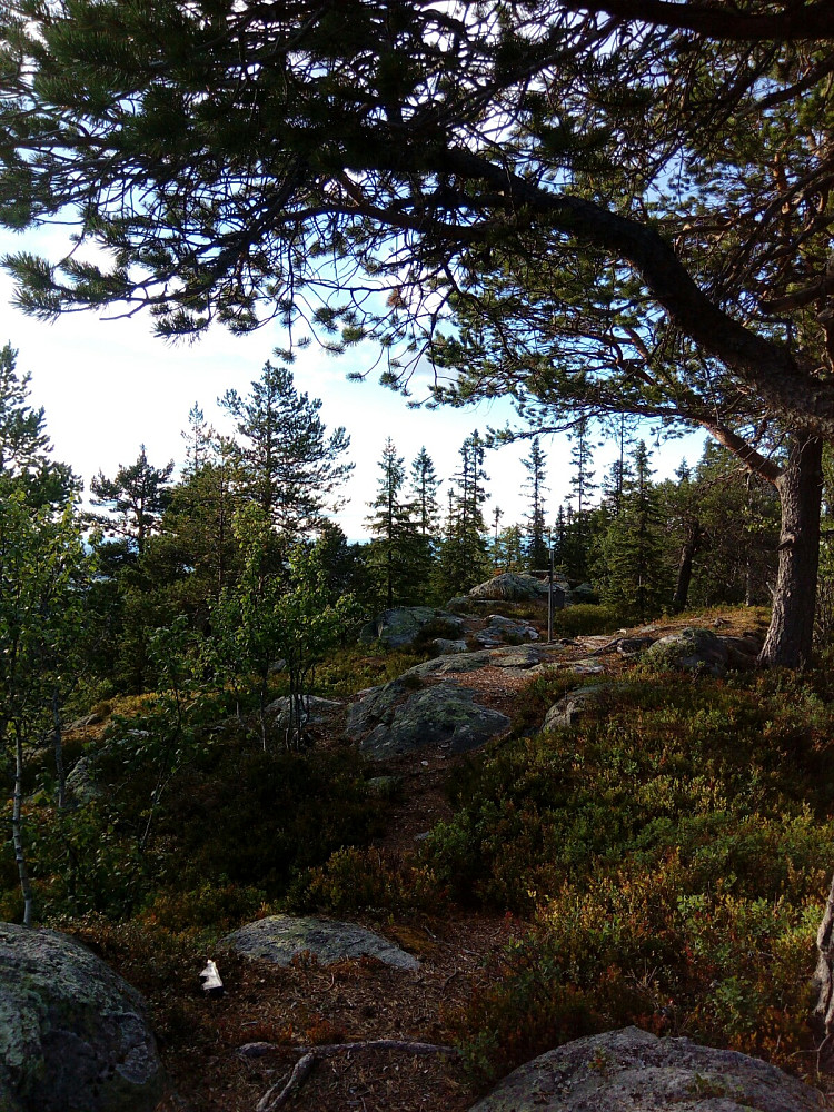På Bygdeborgen