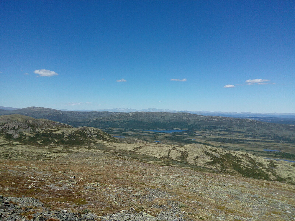 Mot nord fra søre gråhøa