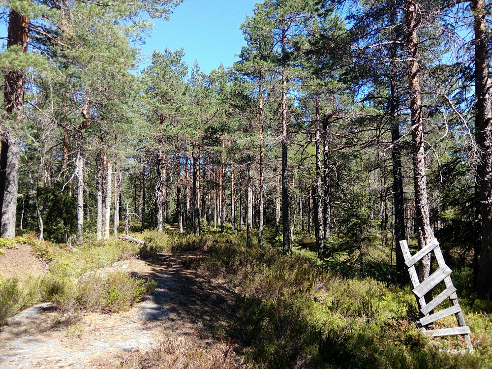Puttåsen/toppunktet