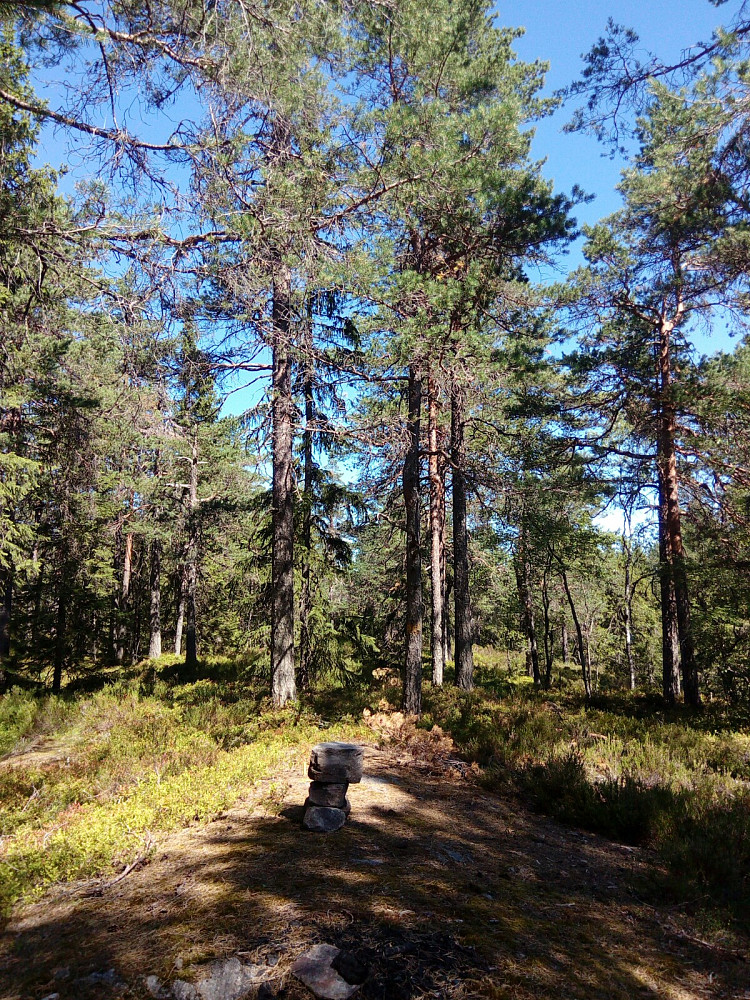 Puttåsen Nord