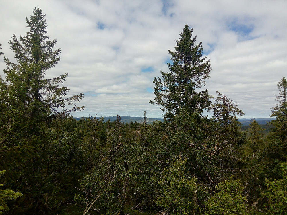 Nordvestover