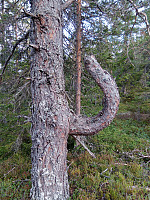 gitteval_20180718_5b4f89db6e4c1.jpg