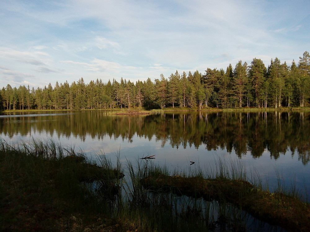 Holmetjernet