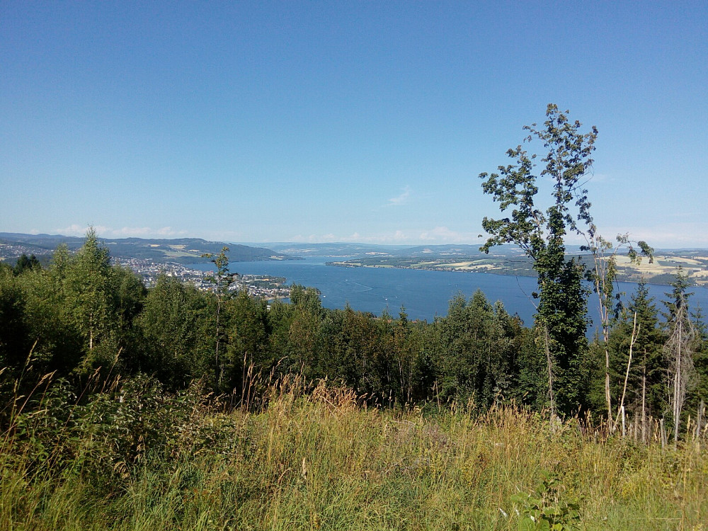 Yrende båtliv på Mjøsa