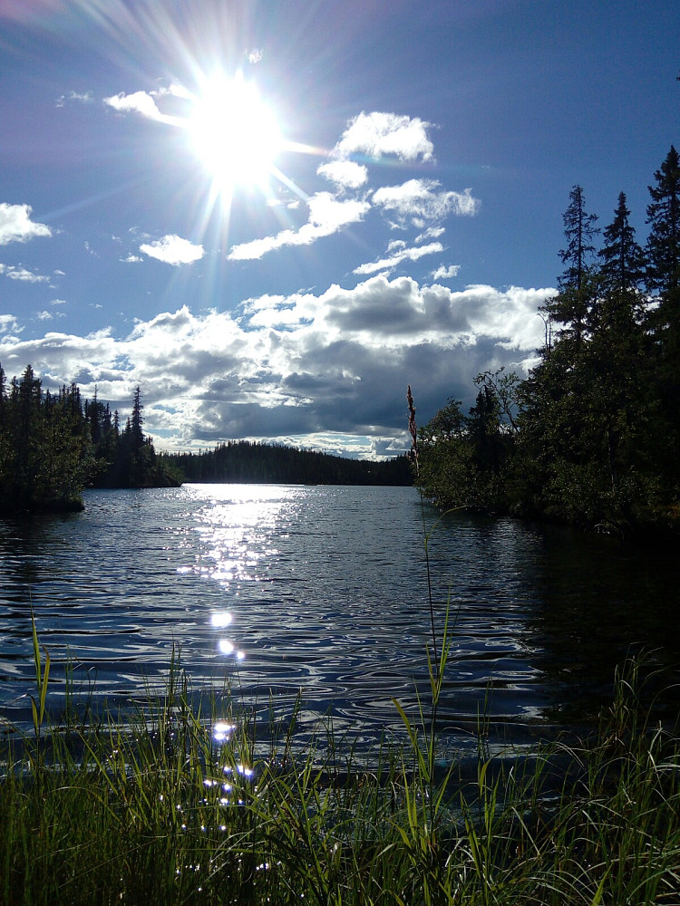 Vangsjøen