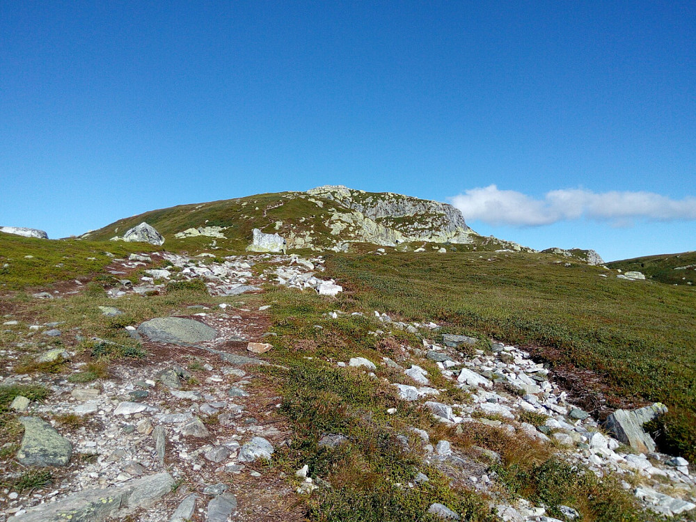 Øysteinnatten