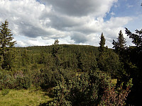 gitteval_20180811_5b6f2c5e5c5ee.jpg