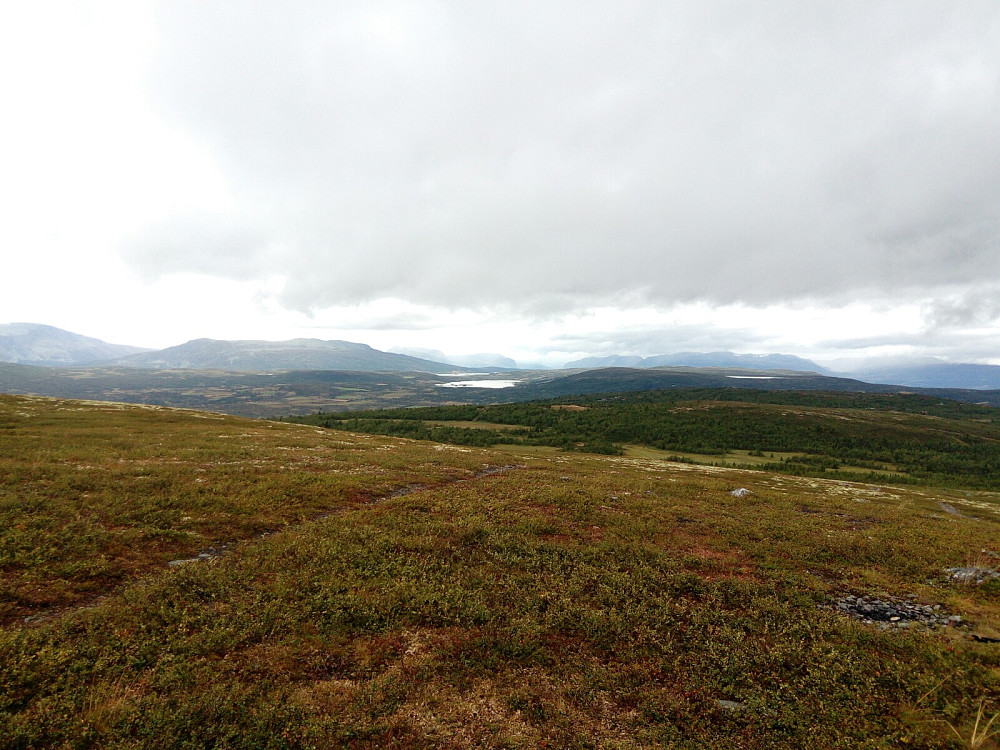 Nordvestover fra Ålfjellet
