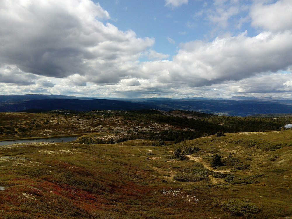 Sørvestover
