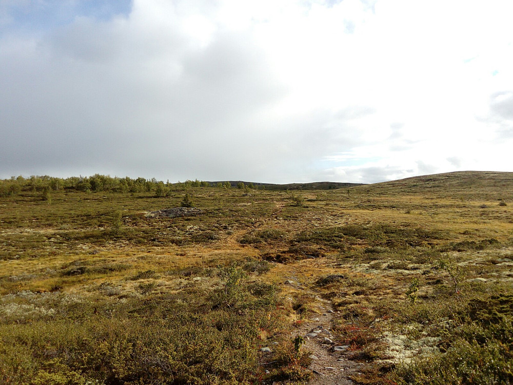 Reinhamran