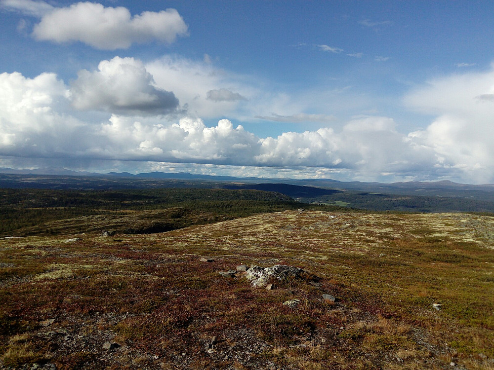 Nord