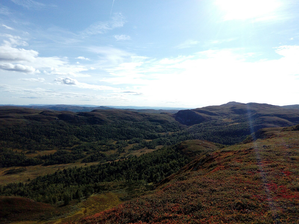 Sørvest