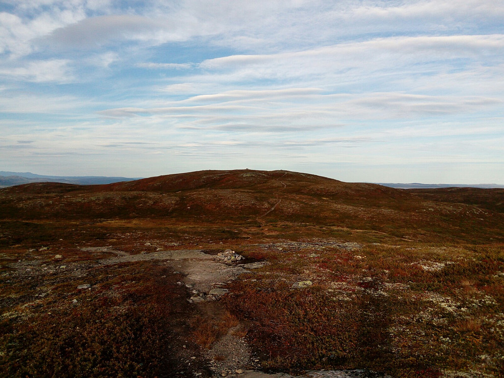 Bjødalskampen