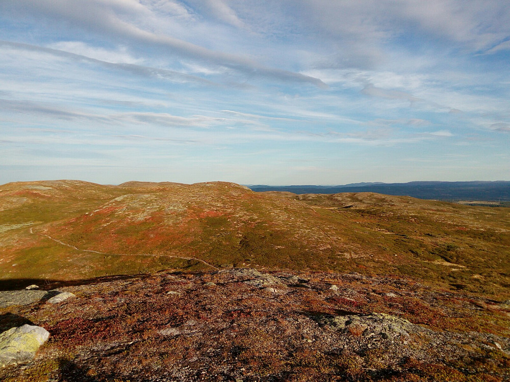 Sørover fra fuglberget