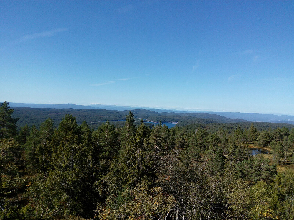 Vestover fra Vestfjellet